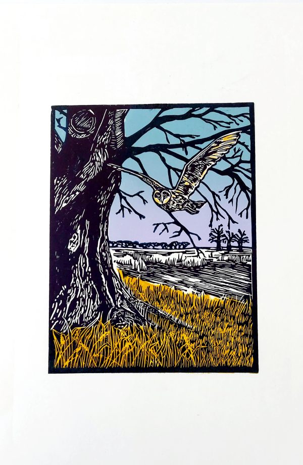 Briefly Encountered: Barn Owl Original Linocut Print - Owl by Riverside Tree