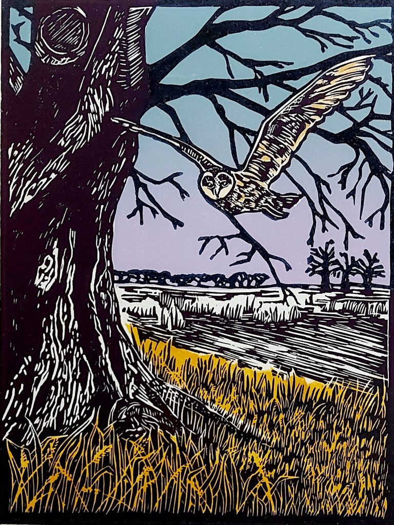 Briefly Encountered: Barn Owl Original Linocut Print - Owl by Riverside Tree