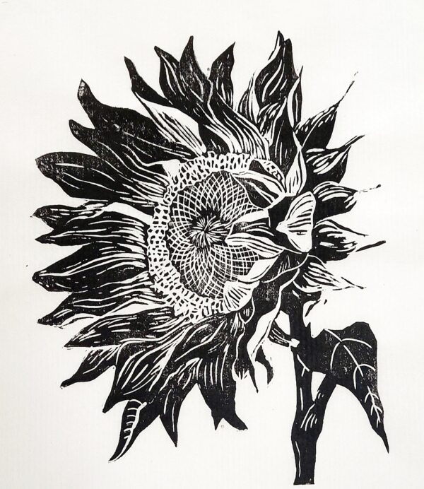 Handmade linocut limited edition print of a sunflower facing the left in blacl and white by Dehlia Barnard-Edmunds