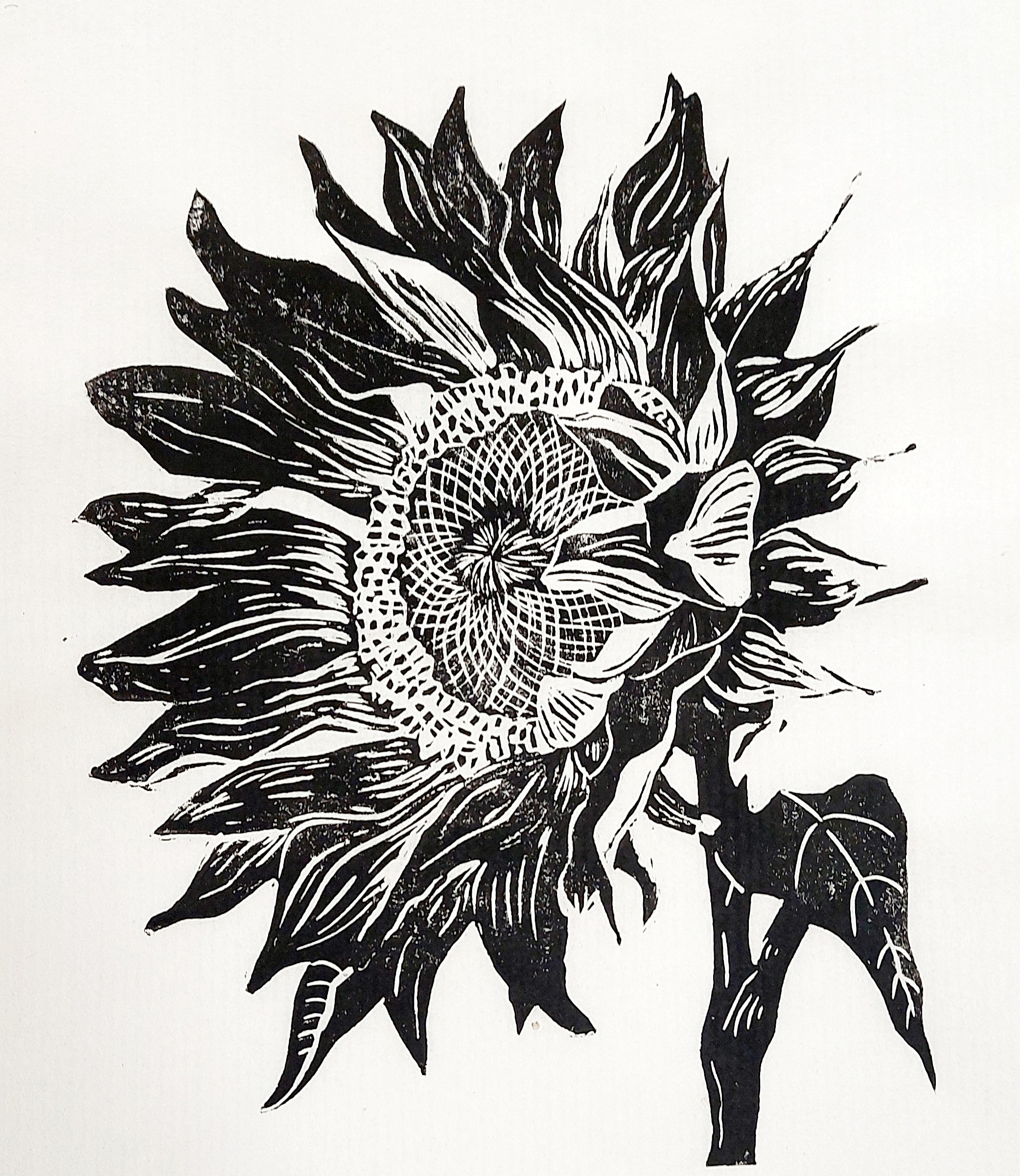 Handmade linocut limited edition print of a sunflower facing the left in blacl and white by Dehlia Barnard-Edmunds